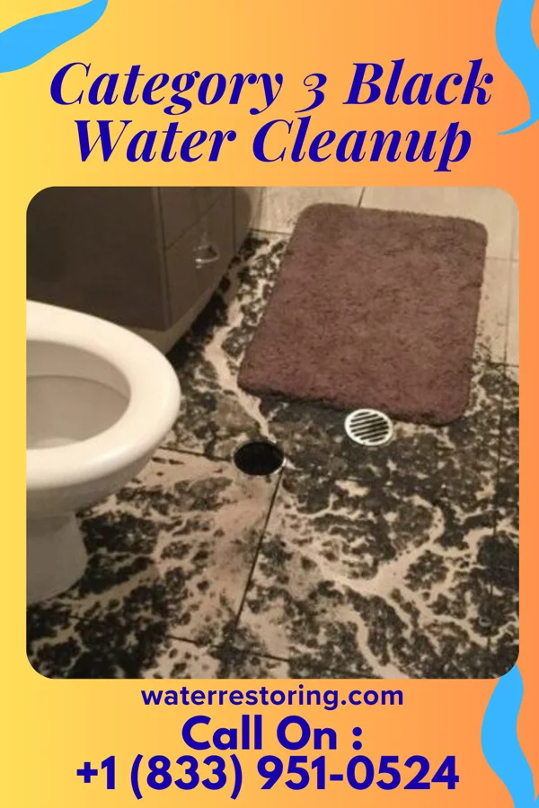 Category 3 Black Water Cleanup in Wann, NE