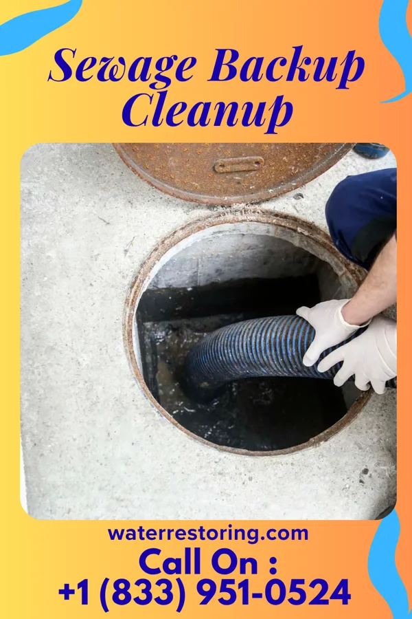 Sewage Backup Cleanup in Wann, NE